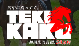 テキカク(TEKIKAKU)